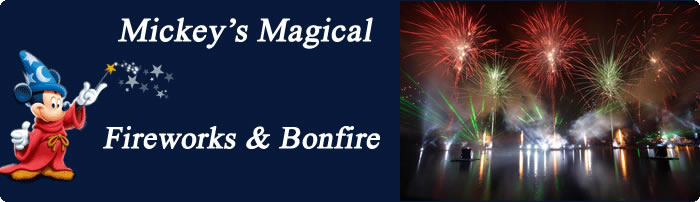 Fireworks and Bonfire